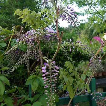 Casa Bartolacci Charme In Апартаменты