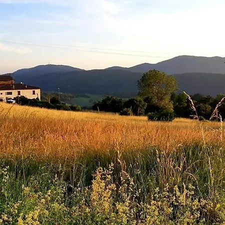 Casa Bartolacci Charme In Daire Bivigliano