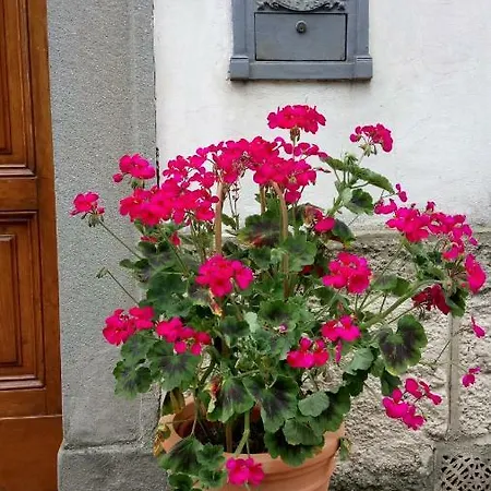 Casa Bartolacci Charme In Daire *