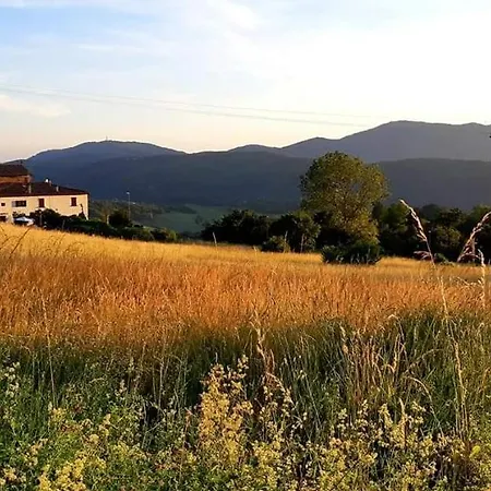 Casa Bartolacci Charme In Apartment Bivigliano